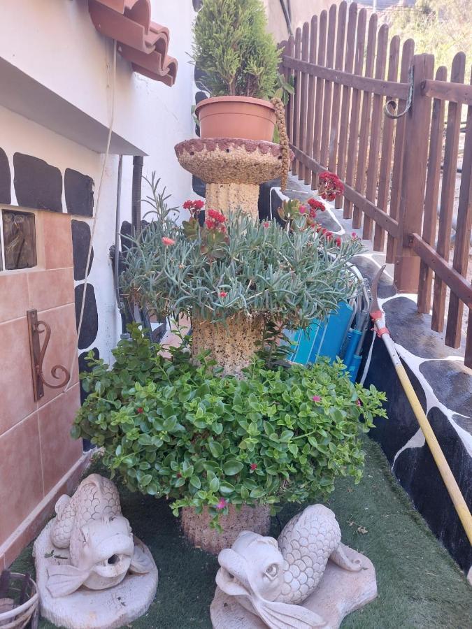 El Palmito 2 Apartman Mogán Kültér fotó